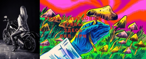 марки lsd Корсаков
