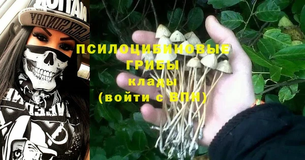 марихуана Коряжма