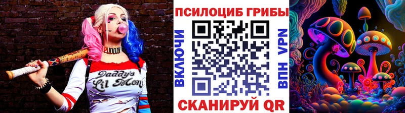 купить наркоту  Тайга  нарко площадка клад  Галлюциногенные грибы MAGIC MUSHROOMS 